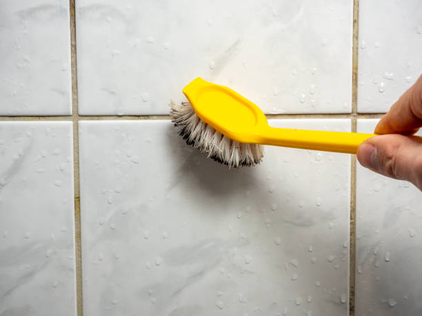  Bell Nyon, CA Mold Removal Pros