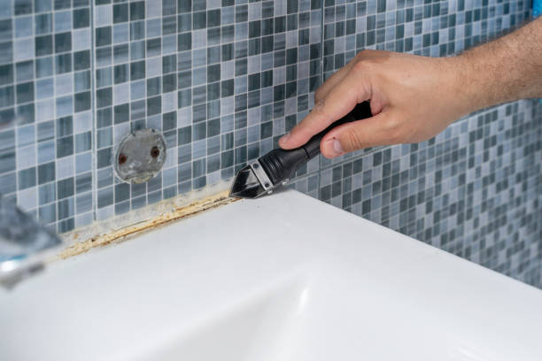 Best Toxic Mold Removal  in Bell Nyon, CA