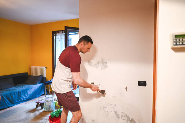 Mold Testing and Removal in Bell Canyon, CA